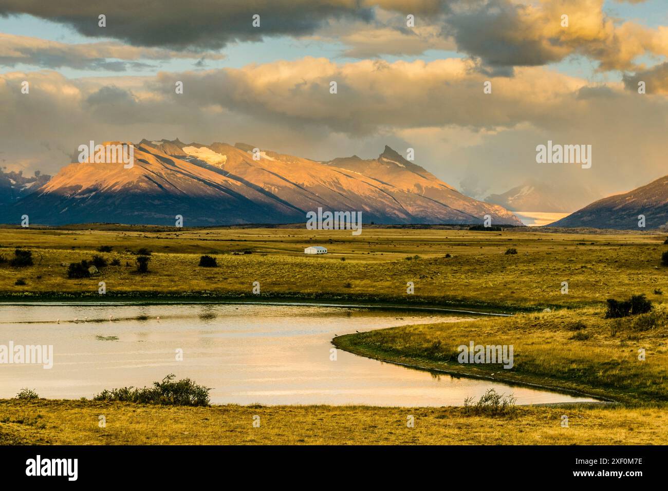 pampas near Lake Roca, El Calafate, Los Glaciares National Park ...