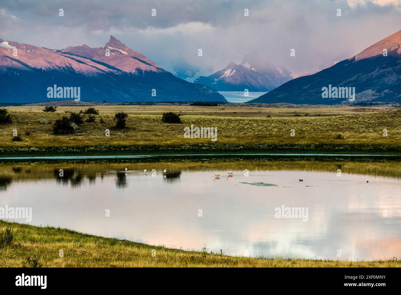 pampas near Lake Roca, El Calafate, Los Glaciares National Park ...