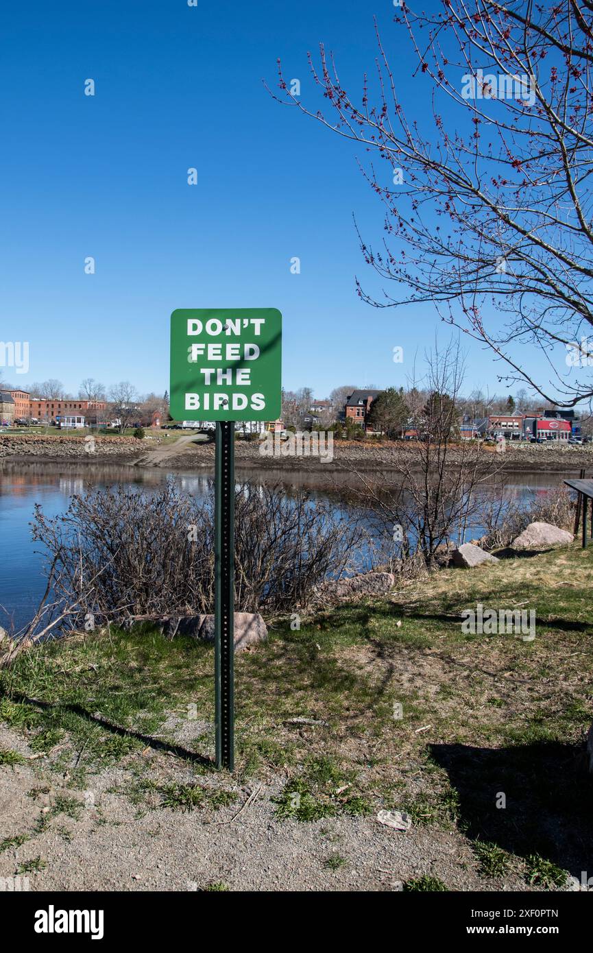 Don't feed the birds sign at the waterfront trail in downtown Calais ...