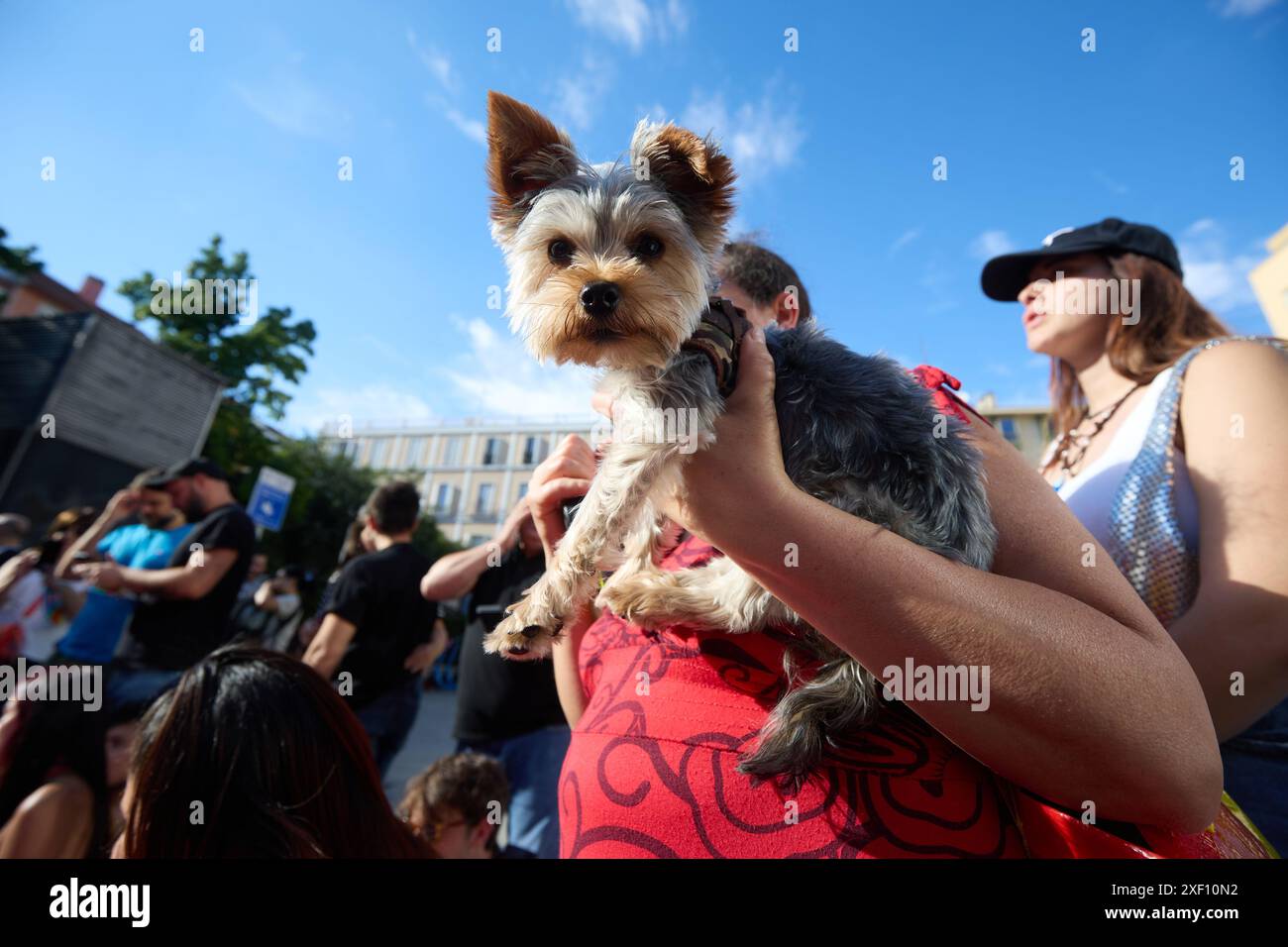 Diversidad de animales hi-res stock photography and images - Alamy