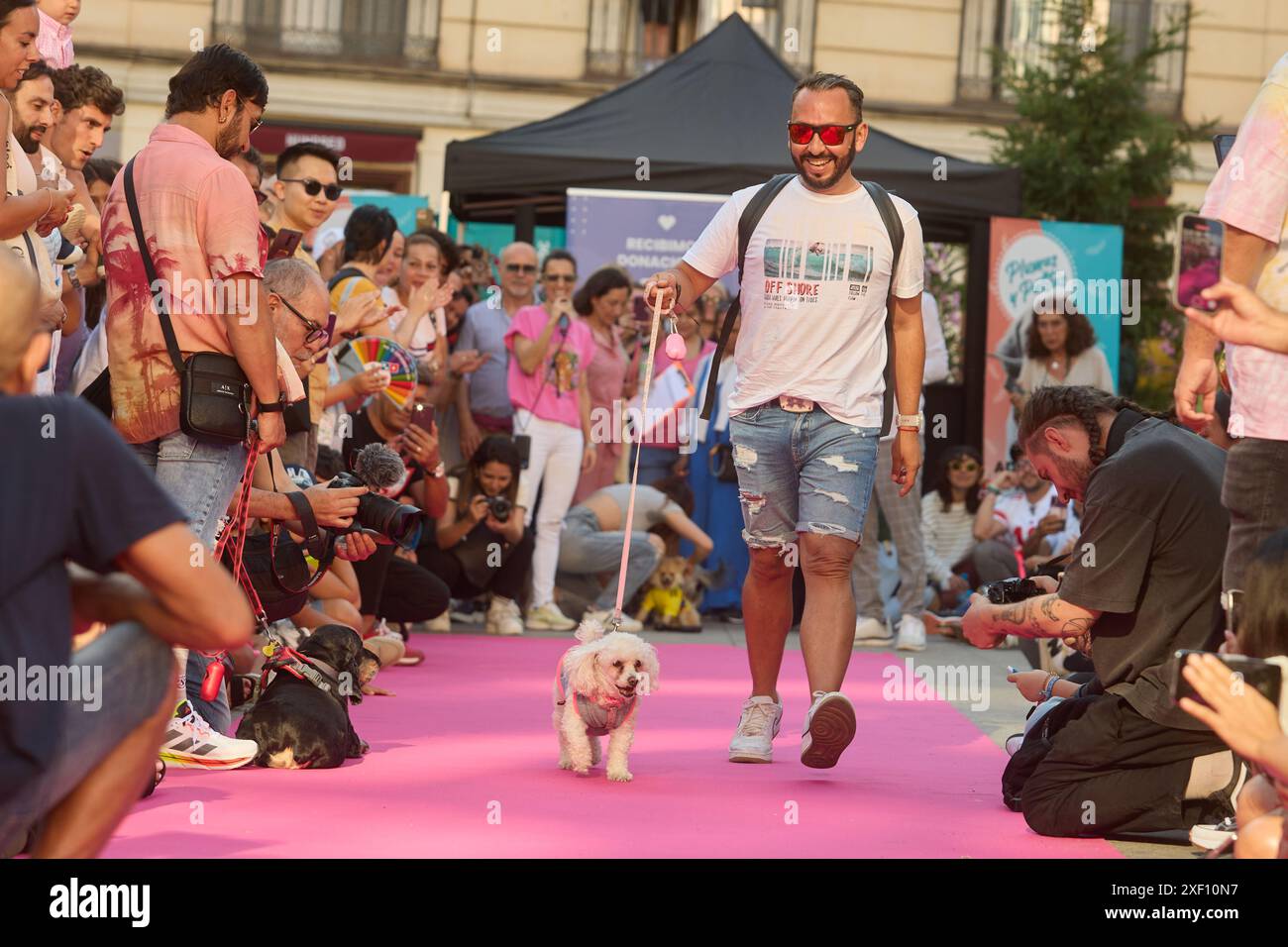 Diversidad de animales hi-res stock photography and images - Alamy
