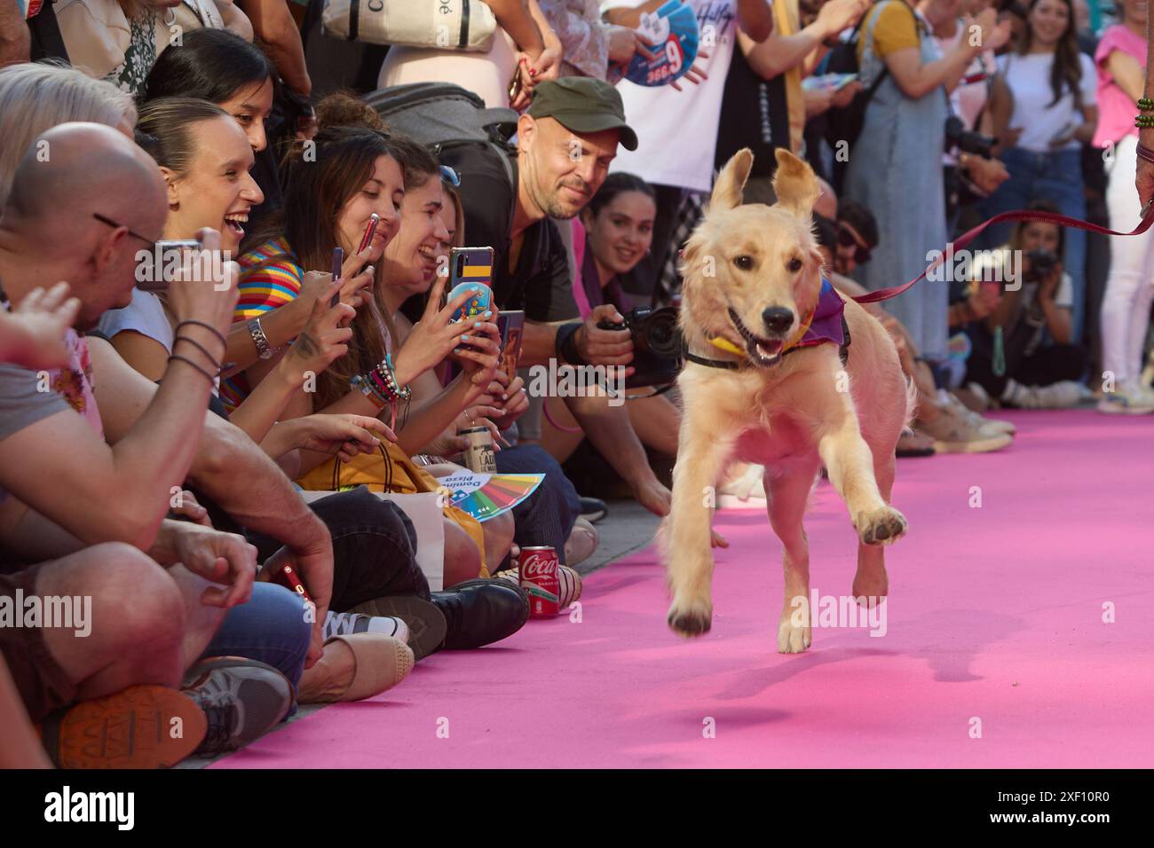 Diversidad de animales hi-res stock photography and images - Alamy