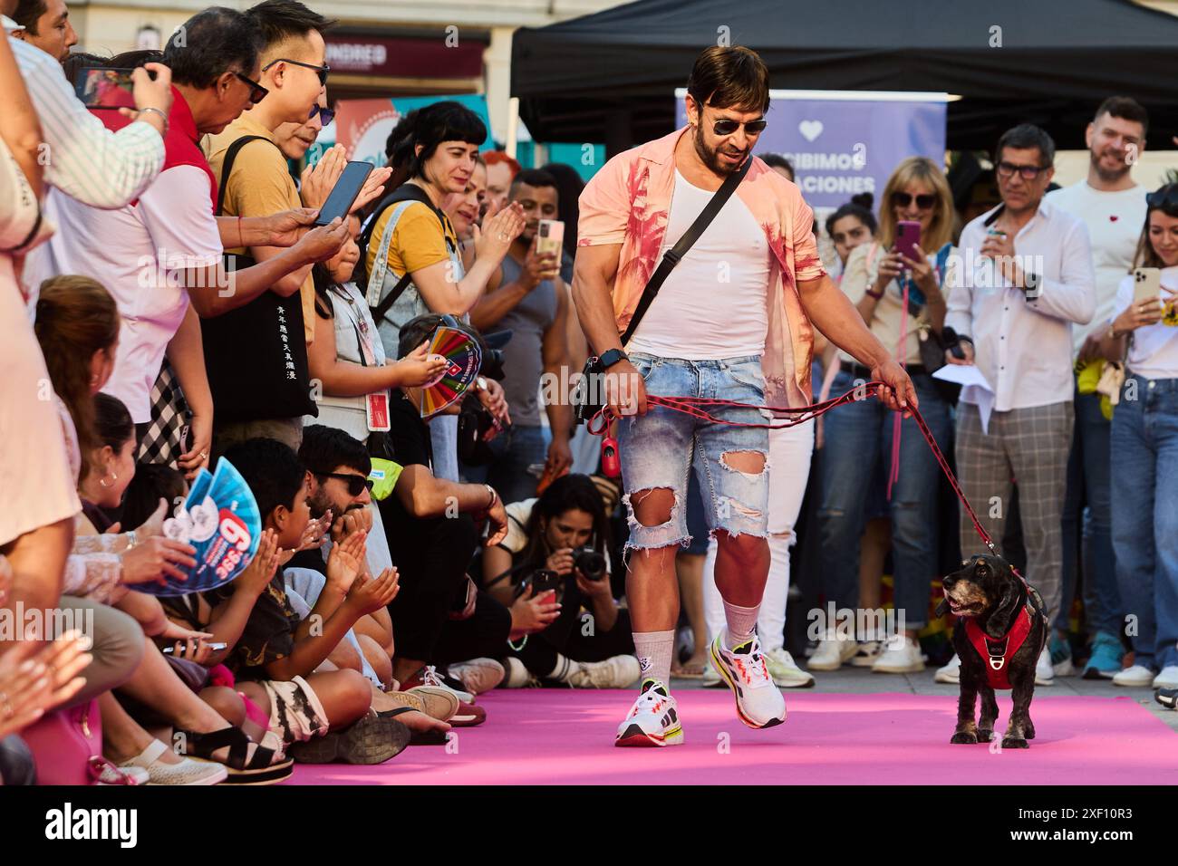 Diversidad de animales hi-res stock photography and images - Alamy