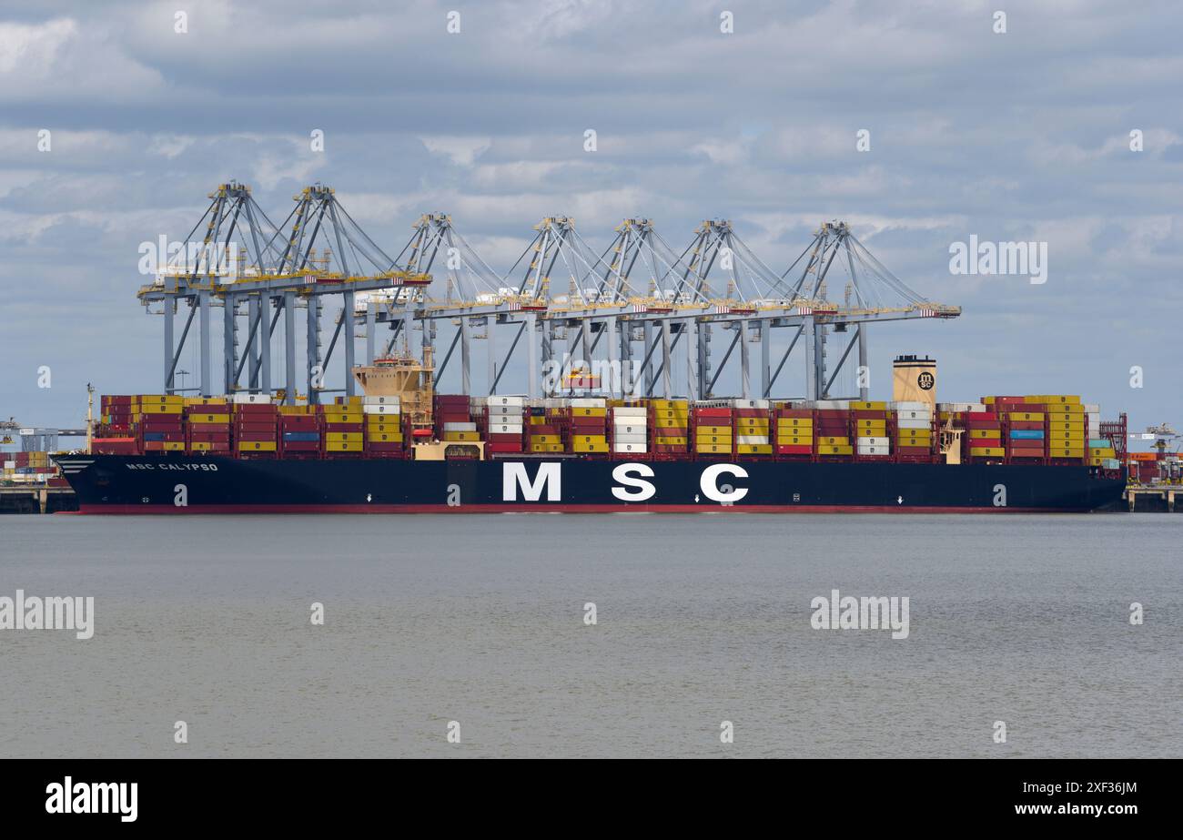Colossal Containership MSC Calypso unloading her cargo at DP World ...