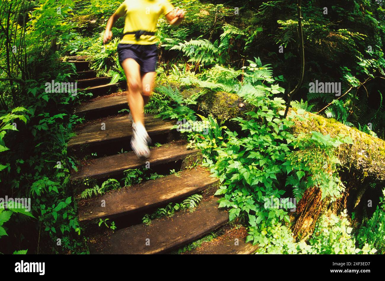 Someone Making A Step Agility make steps to success hi-res stock photography and images - Alamy
