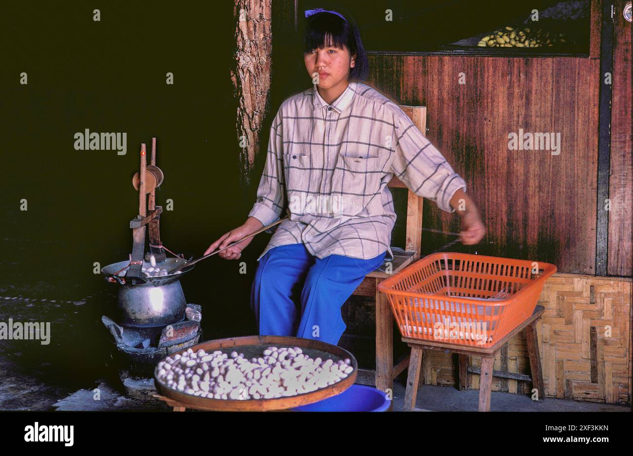 Thailand, Chiang Mai; Woman in a silk production factory boil the cocoons of silkworms spin the thread to weave fabrics. Stock Photo