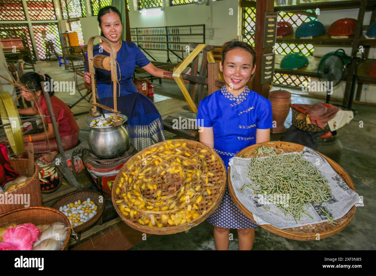 Thailand, Chiang Mai; Women in a small scale silk production factory. The cocoons of silkworms are boiled and after that they spin the thread to weave Stock Photo