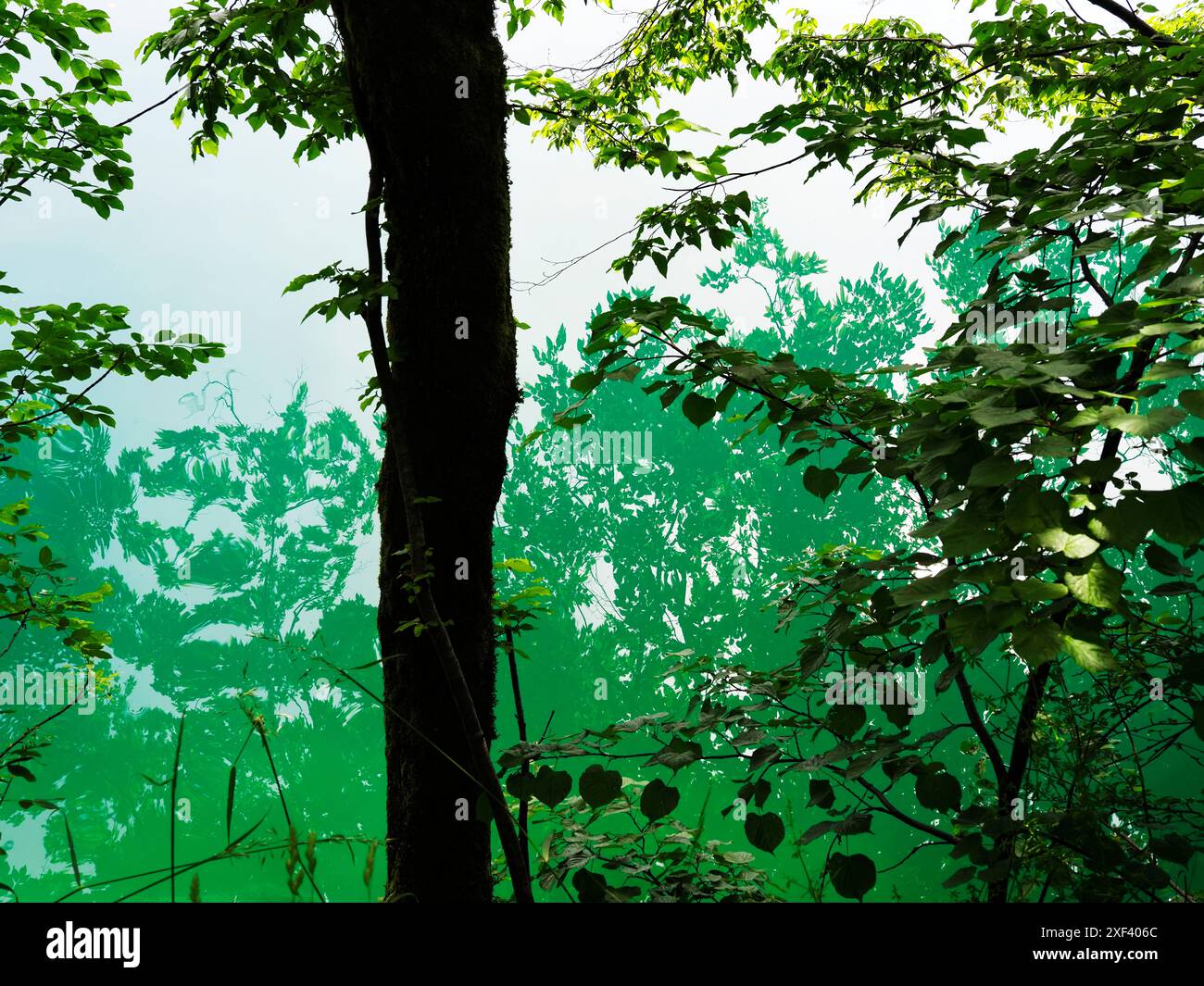 The blue green water of Lake Bled at Bled Island Bled Upper Carniola Slovenia Stock Photo