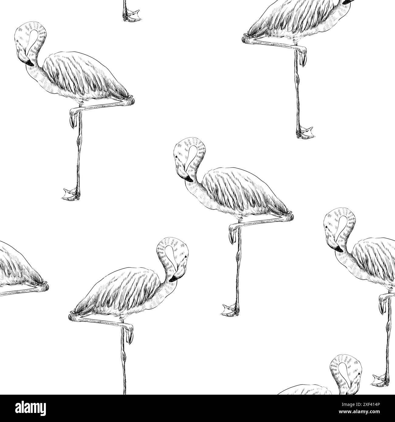 vector sketch of a flamingo. hand drawn seamless pattern Stock Vector ...