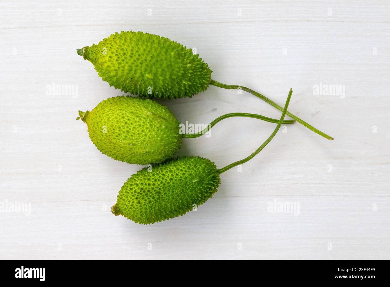 Kankada Kankoda hi-res stock photography and images - Alamy