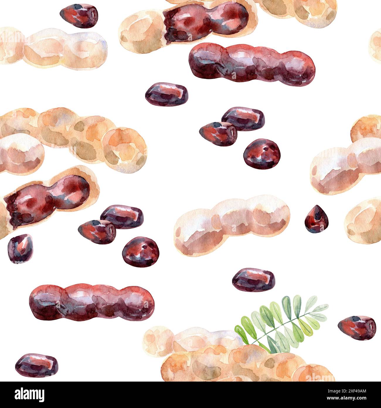 Seamless pattern. Hand Drawn Watercolor tamarind Fruit illustration ...