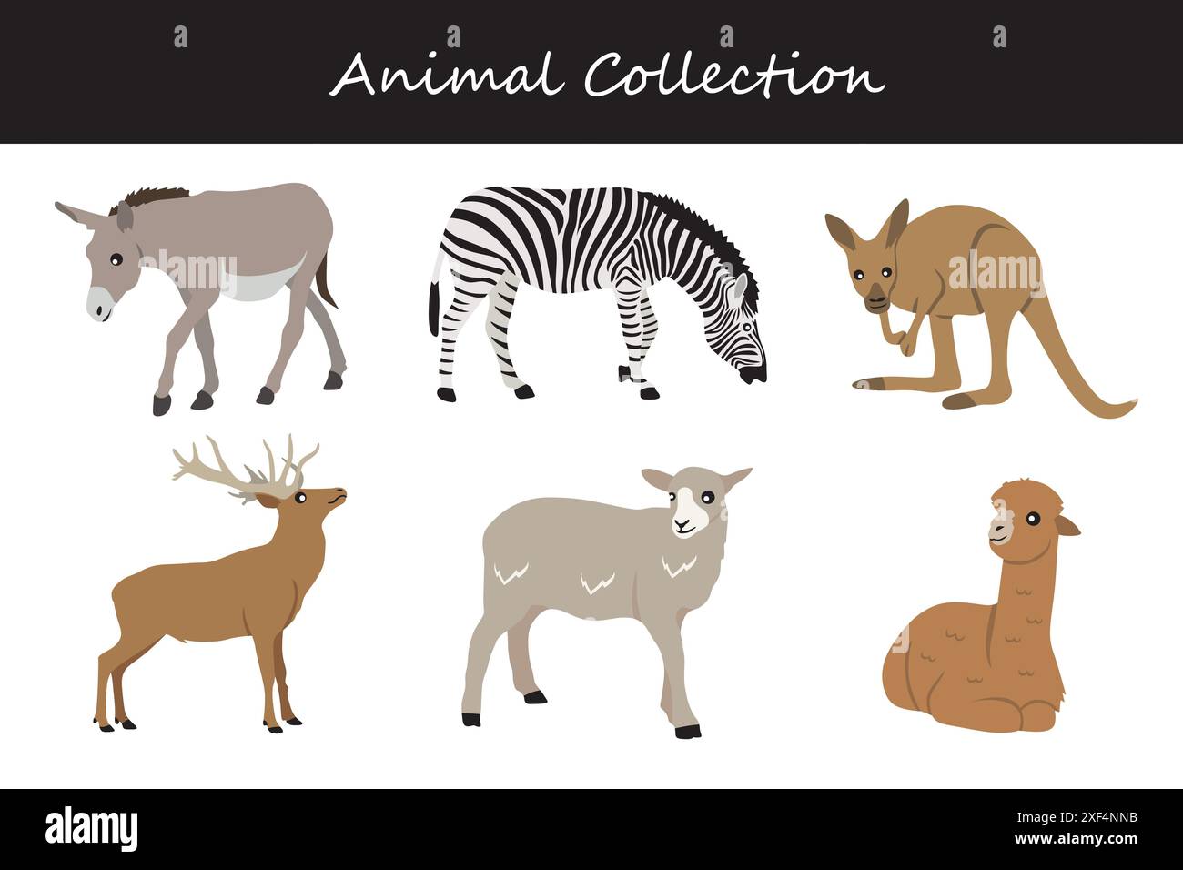 Animals collection. Flat style vector illustration Stock Vector Image ...