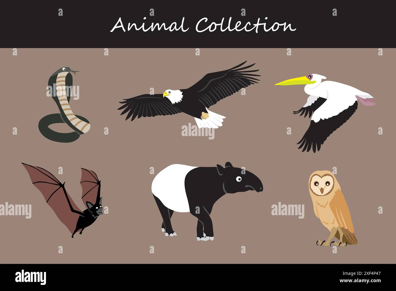 Animals collection. Flat style vector illustration Stock Vector Image ...