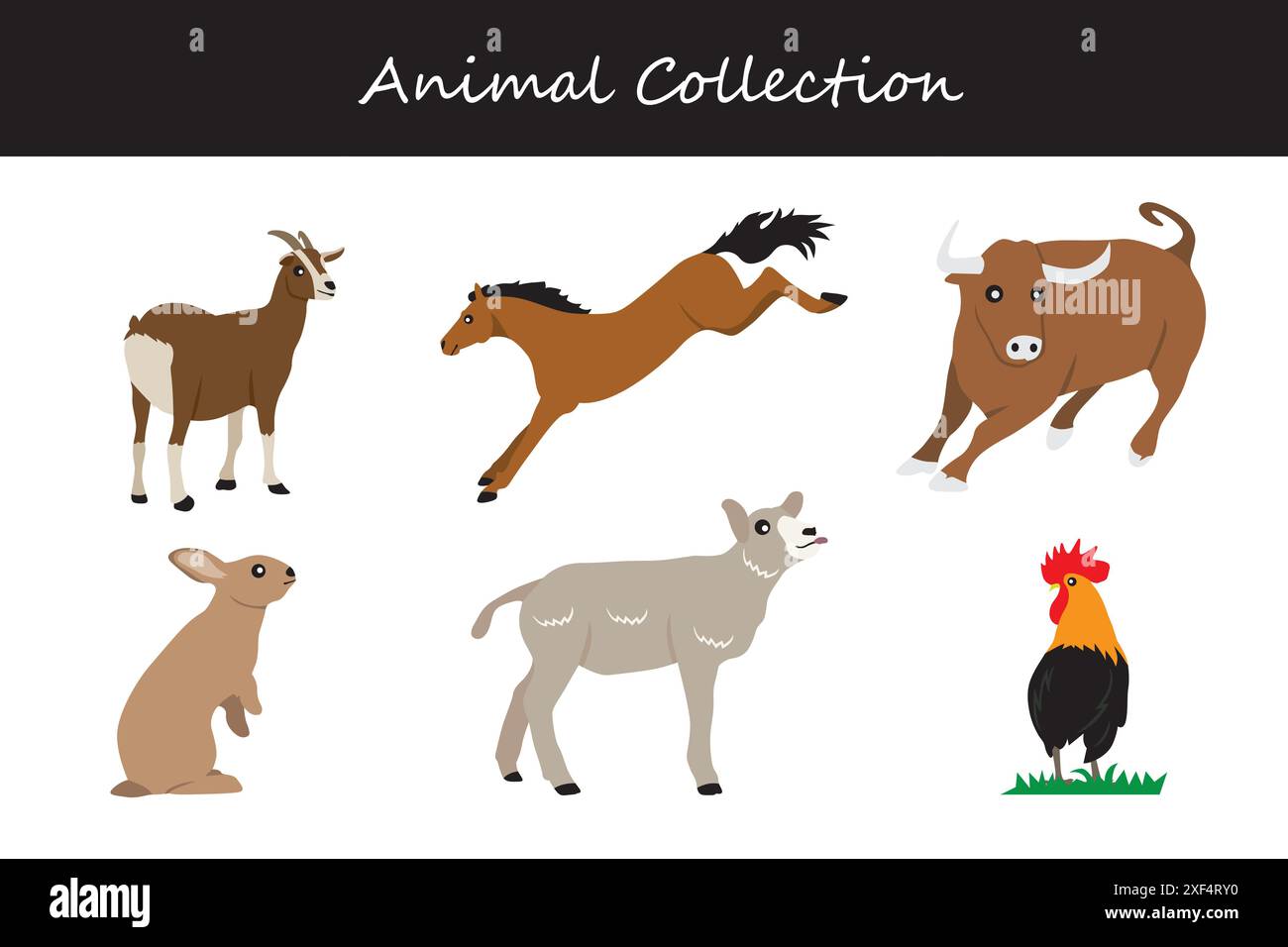 Animals collection. Flat style vector illustration Stock Vector Image ...