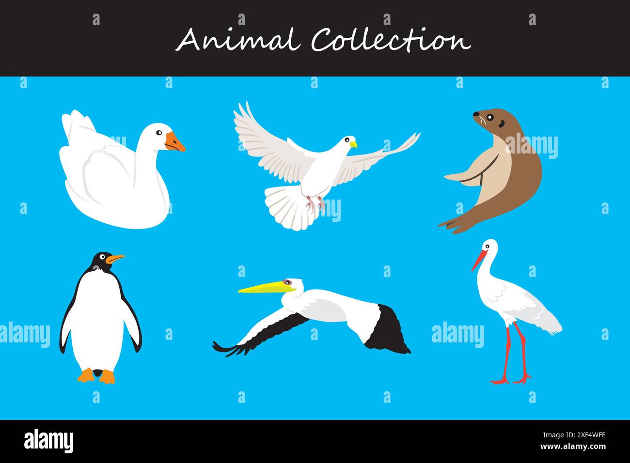 Animals collection. Flat style vector illustration Stock Vector Image ...