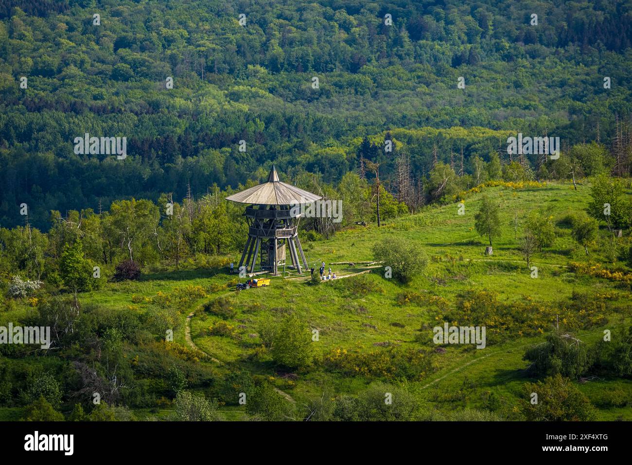 Aerial view, Eggeturm observation tower on the Lippische Velmerstot hilltop, construction site for renovation, Teutoburg Forest, Veldrom, Horn-Bad Mei Stock Photo