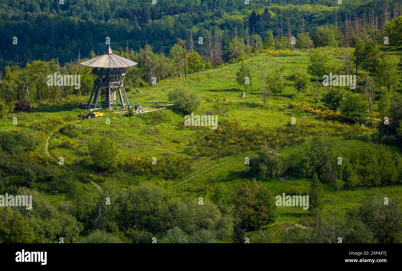 Aerial view, Eggeturm observation tower on the Lippische Velmerstot hilltop, construction site for renovation, Teutoburg Forest, Veldrom, Horn-Bad Mei Stock Photo