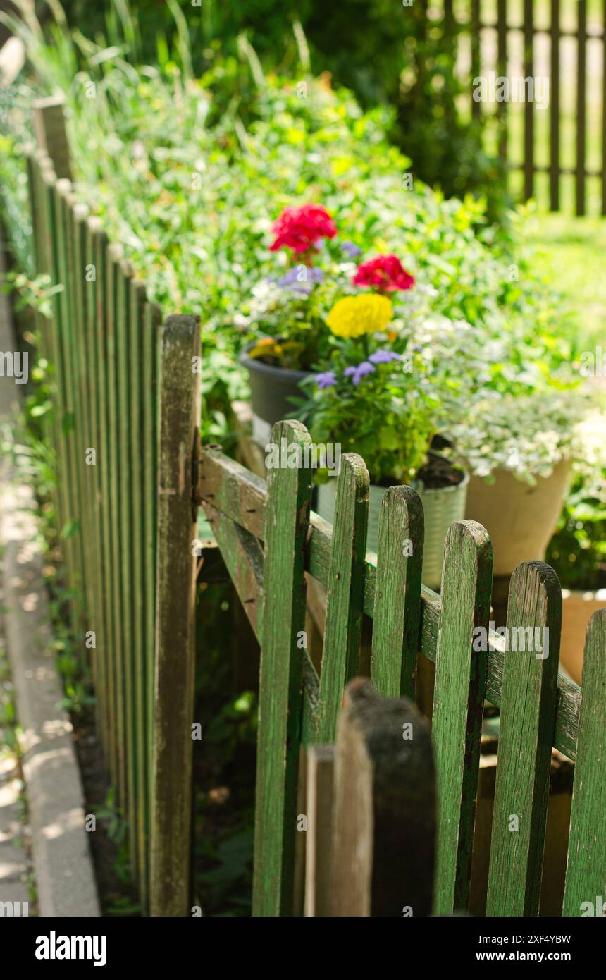 Wooden fence post flowers hi-res stock photography and images - Alamy