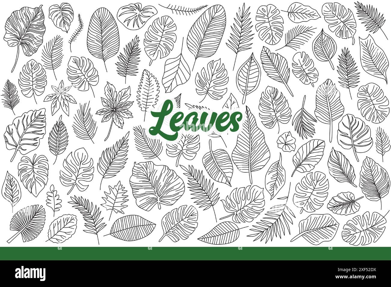 Leaves from tropical trees and shrubs growing on southern islands or jungles. Leaves of different shapes and sizes for design of botanical books or environmental magazines. Hand drawn doodle Stock Vector