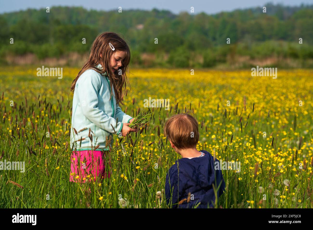 Field Exploring A cute boy and girl spend time outdoors in a field, exploring and ...