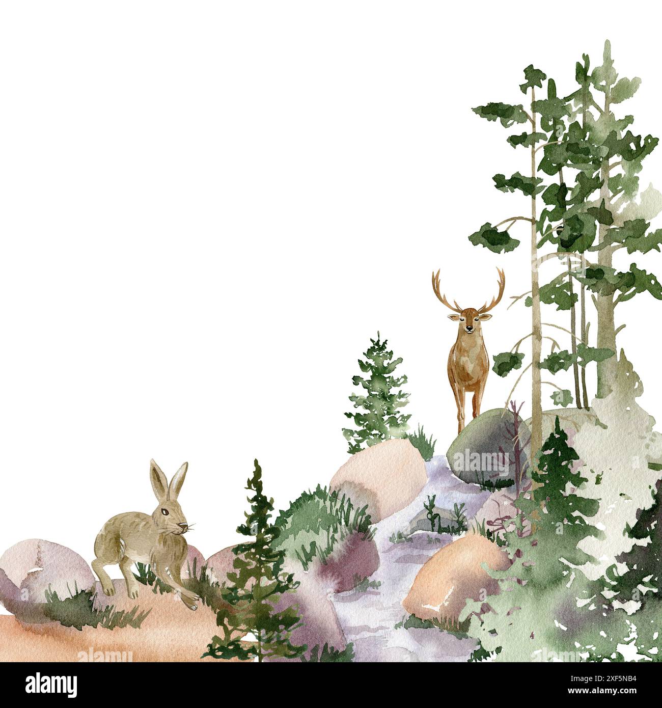 Woodland frame. Watercolor forest with deer and rabbit Stock Photo - Alamy