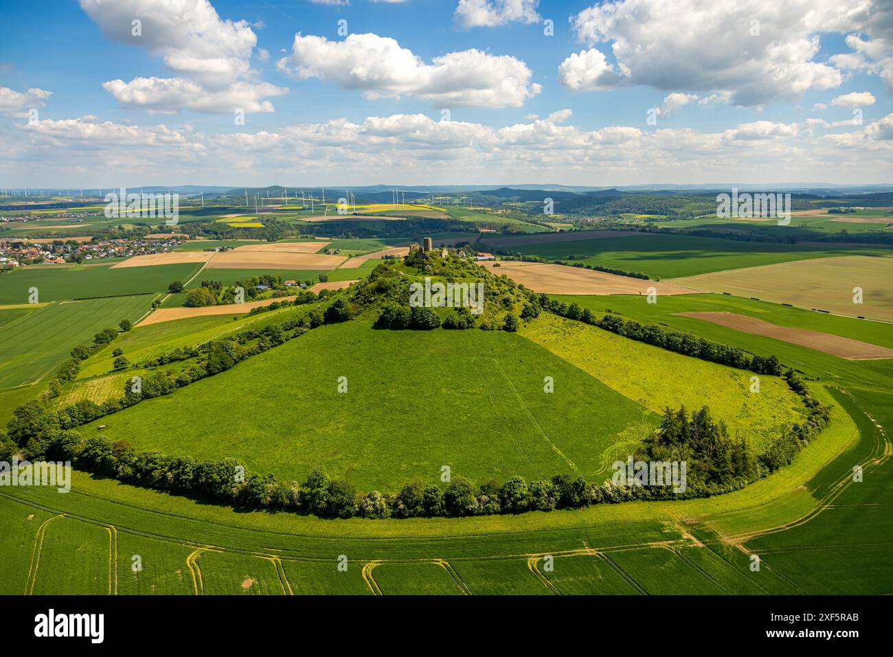 Desenberg Avenue of trees in a semicircle hi-res stock photography and images - Alamy