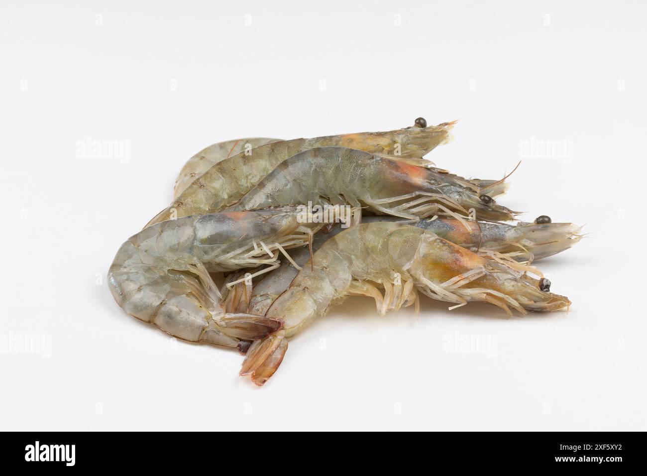 raw shrimp, close-up, isolated on a white background Stock Photo
