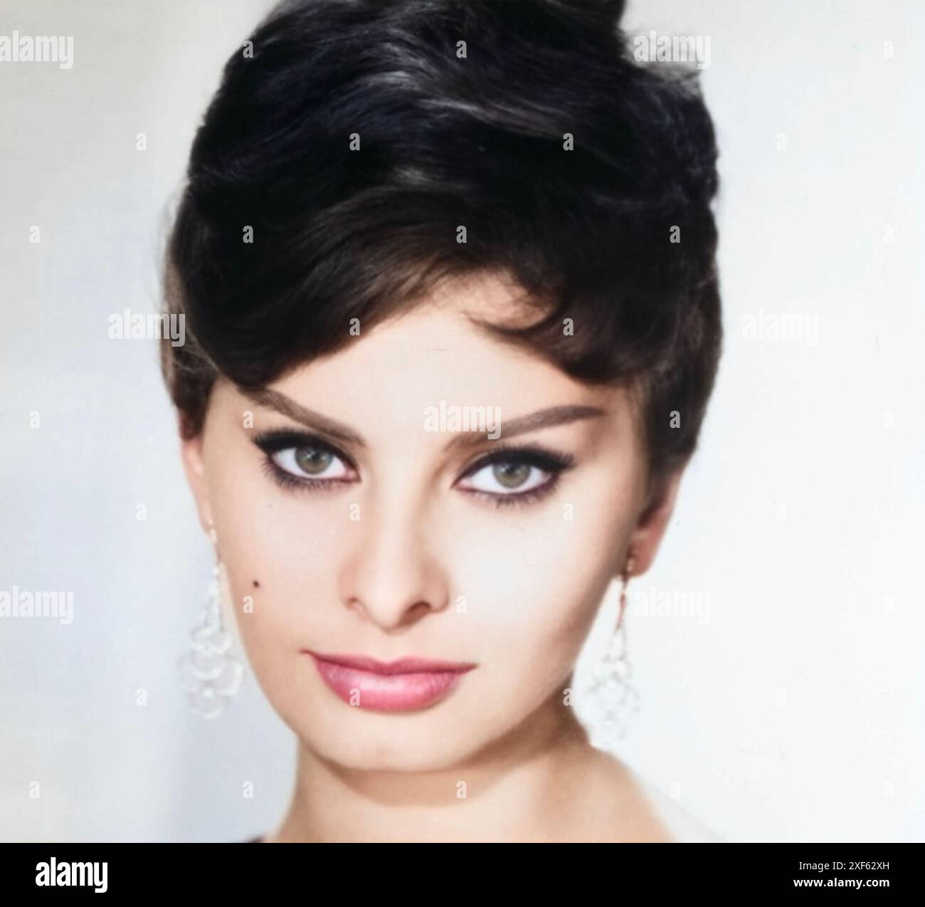SOPHIA LOREN Itaian film actress about 1960 Stock Photo - Alamy