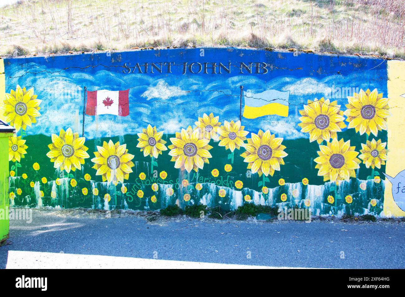Mural of Saint John NB with sunflowers at Wolastoq Park in Saint John