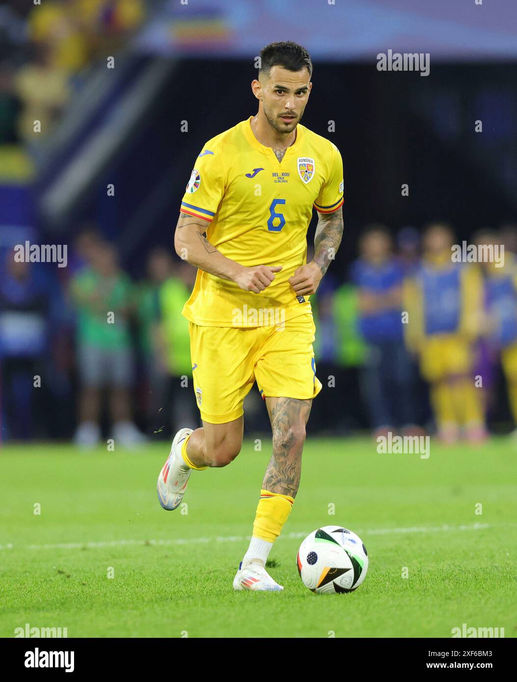 Cologne, Deutschland. 22nd June, 2024. firo : 22.06.2024, Football, Soccer: UEFA EURO 2024, EM, European Championship 2024, Group Stage, M22, Match 22, BEL, Belgium - ROU, Romania 2:0 Marius Marin of Romania Individual Action, Credit: dpa/Alamy Live News Stock Photo