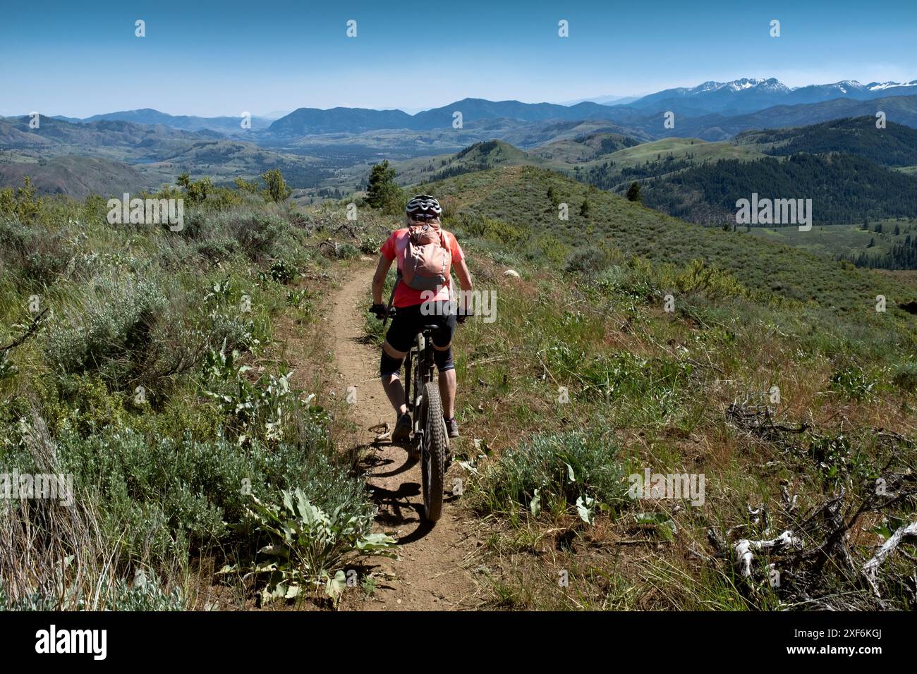 Buck mountain mountain bike trail hires stock photography and images