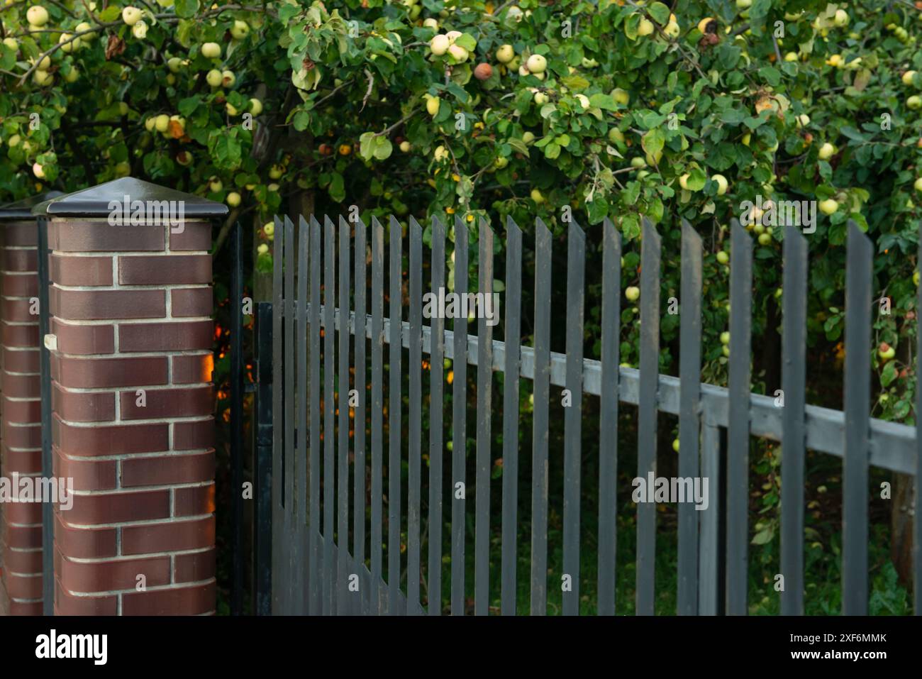 Beautiful brick fence with iron railing outdoors Stock Photo - Alamy