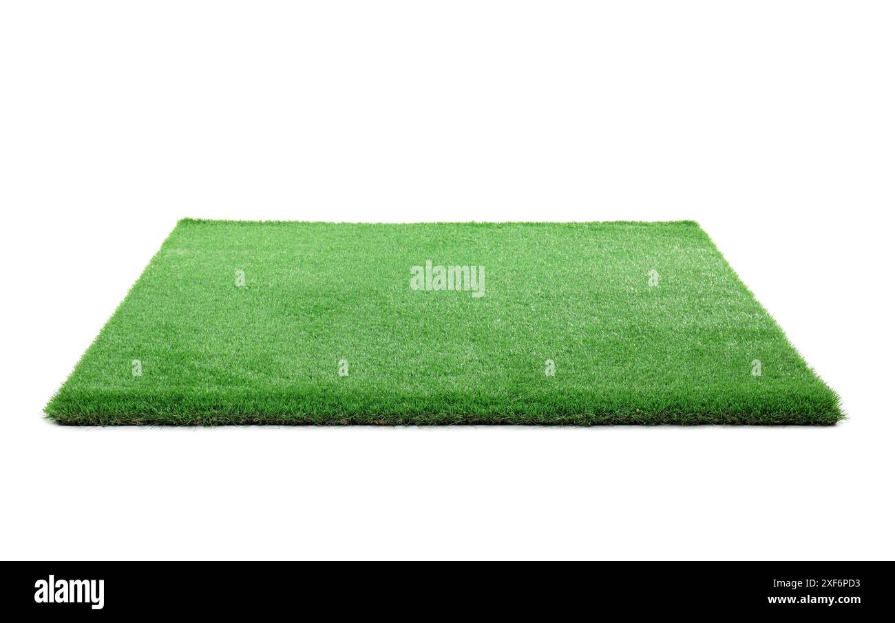 Lush green ground cover plant Cut Out Stock Images & Pictures - Alamy