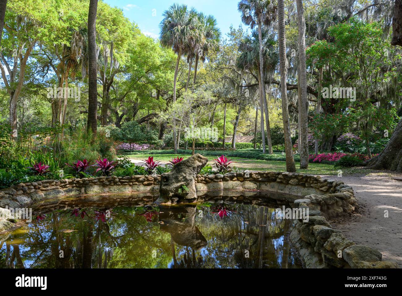 Rock lined pool and trees reflecting in the pond with a blue sky Stock Photo