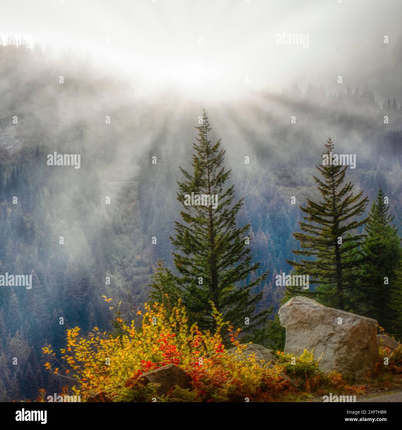 Mt stevens hi-res stock photography and images - Alamy