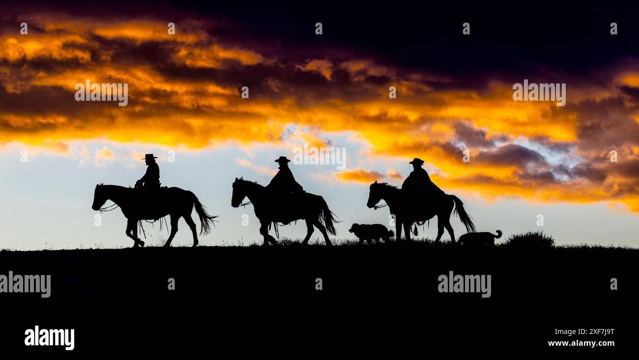 Shell P Ranch USA, Wyoming, Shell. Hideout Ranch, Big Horn Mountain Range Stock Photo ...