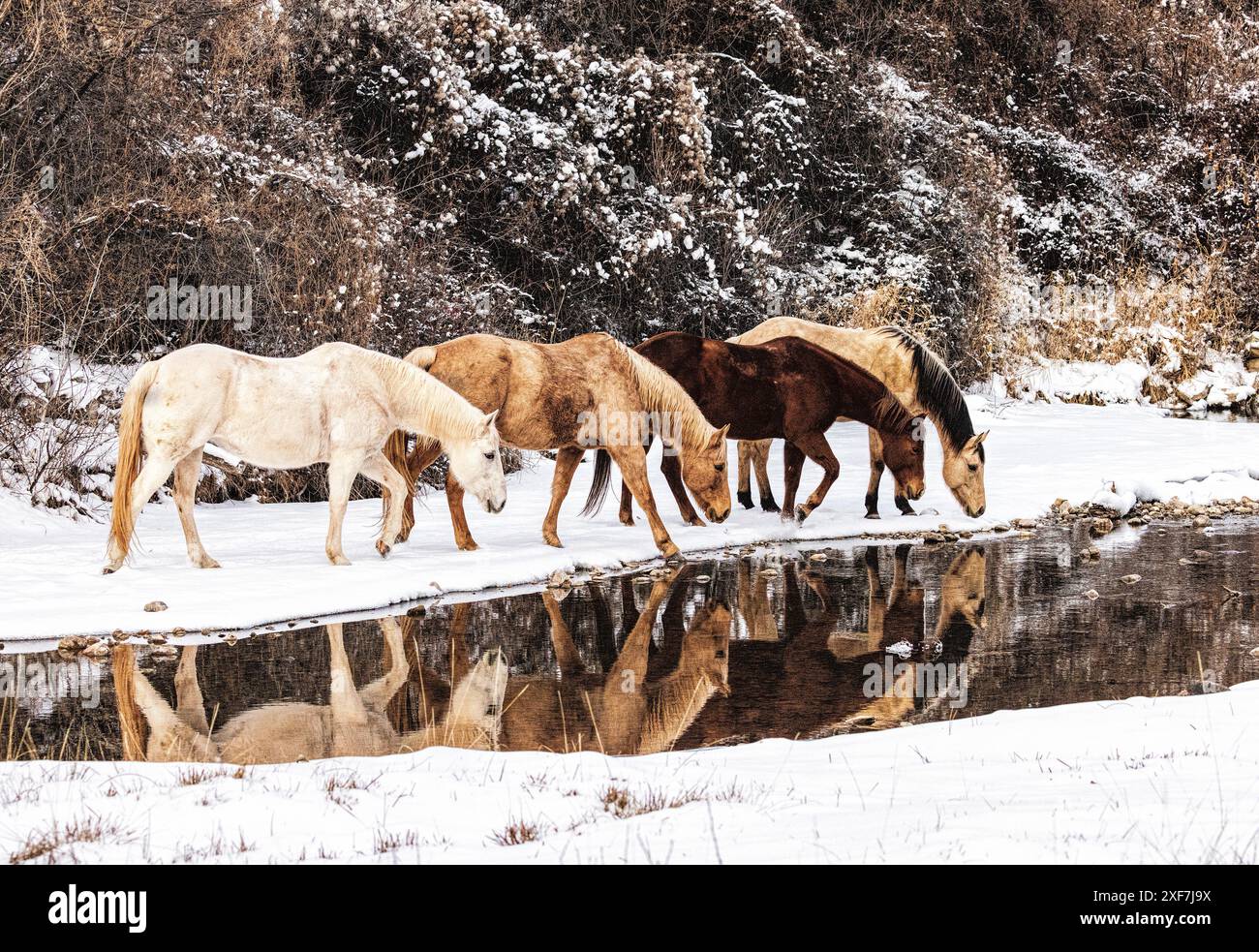 Big four ranch hi-res stock photography and images - Alamy