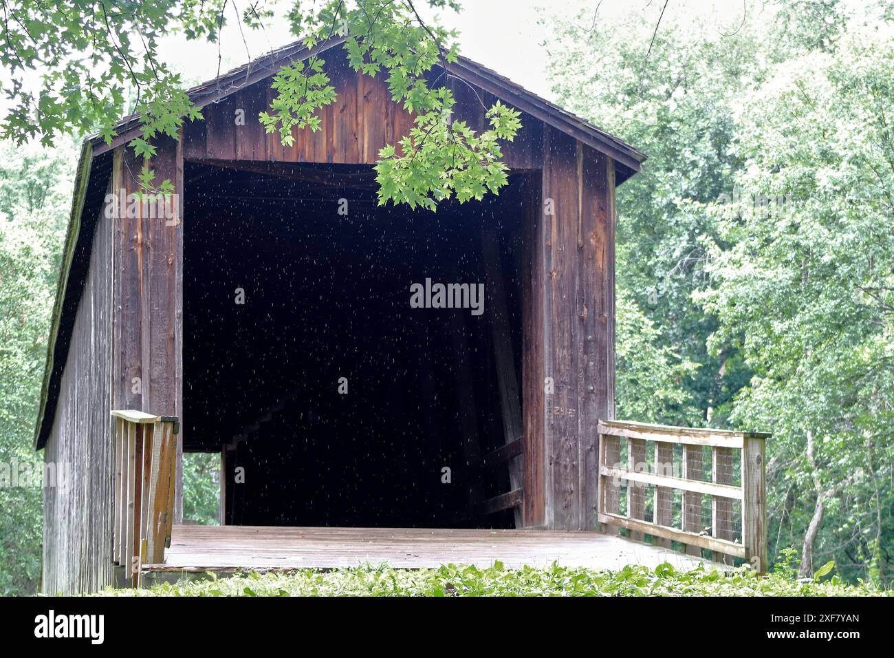 Nature Shots Stock Photo