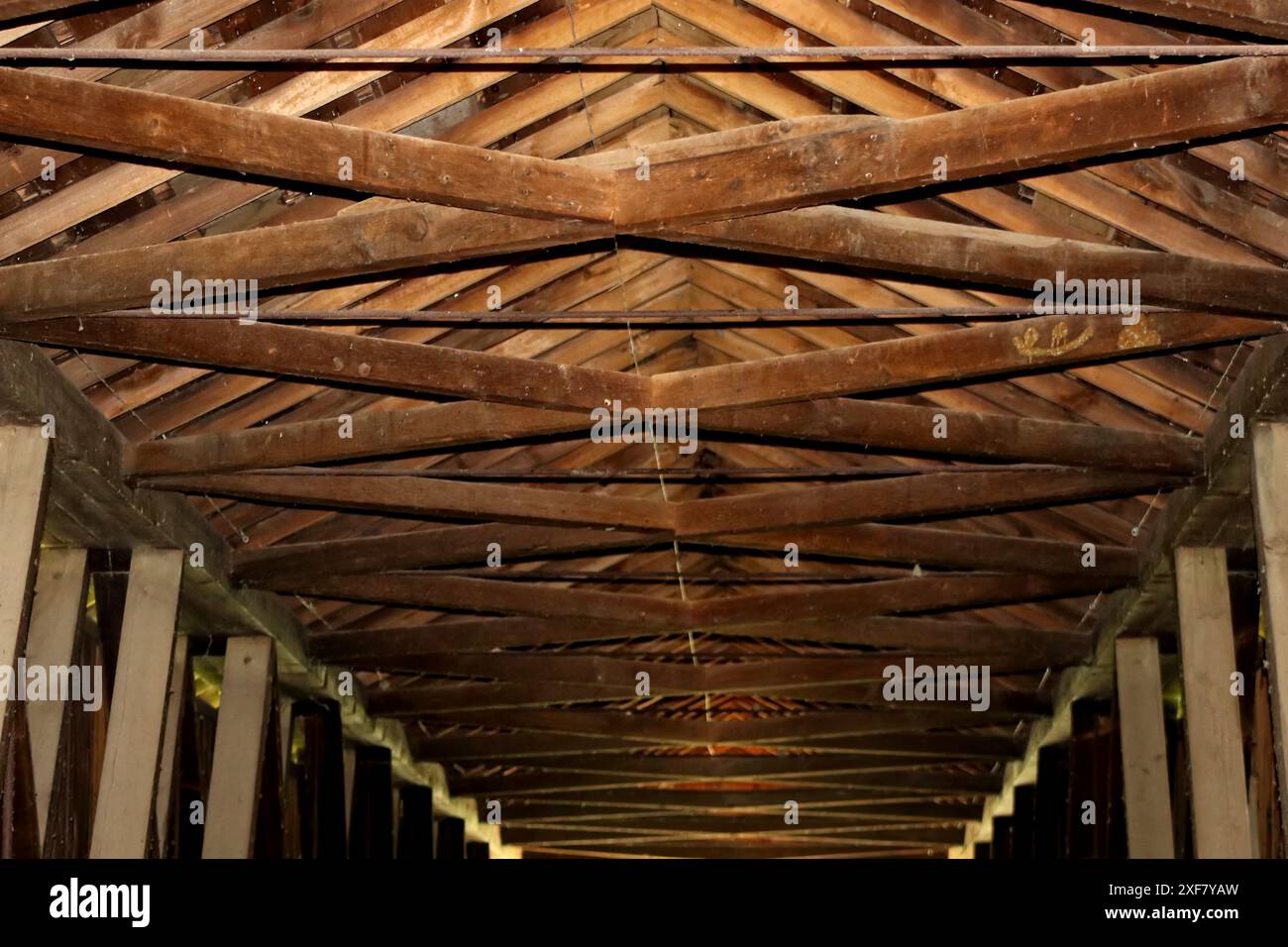 Nature Shots Stock Photo