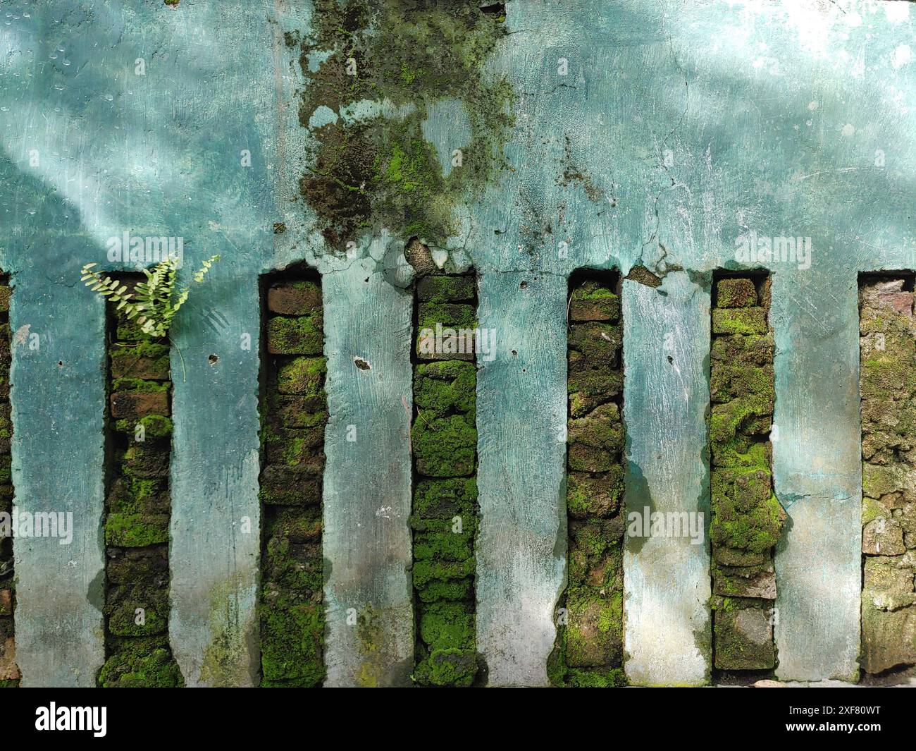 Old Wall Covered in Moss Stock Photo