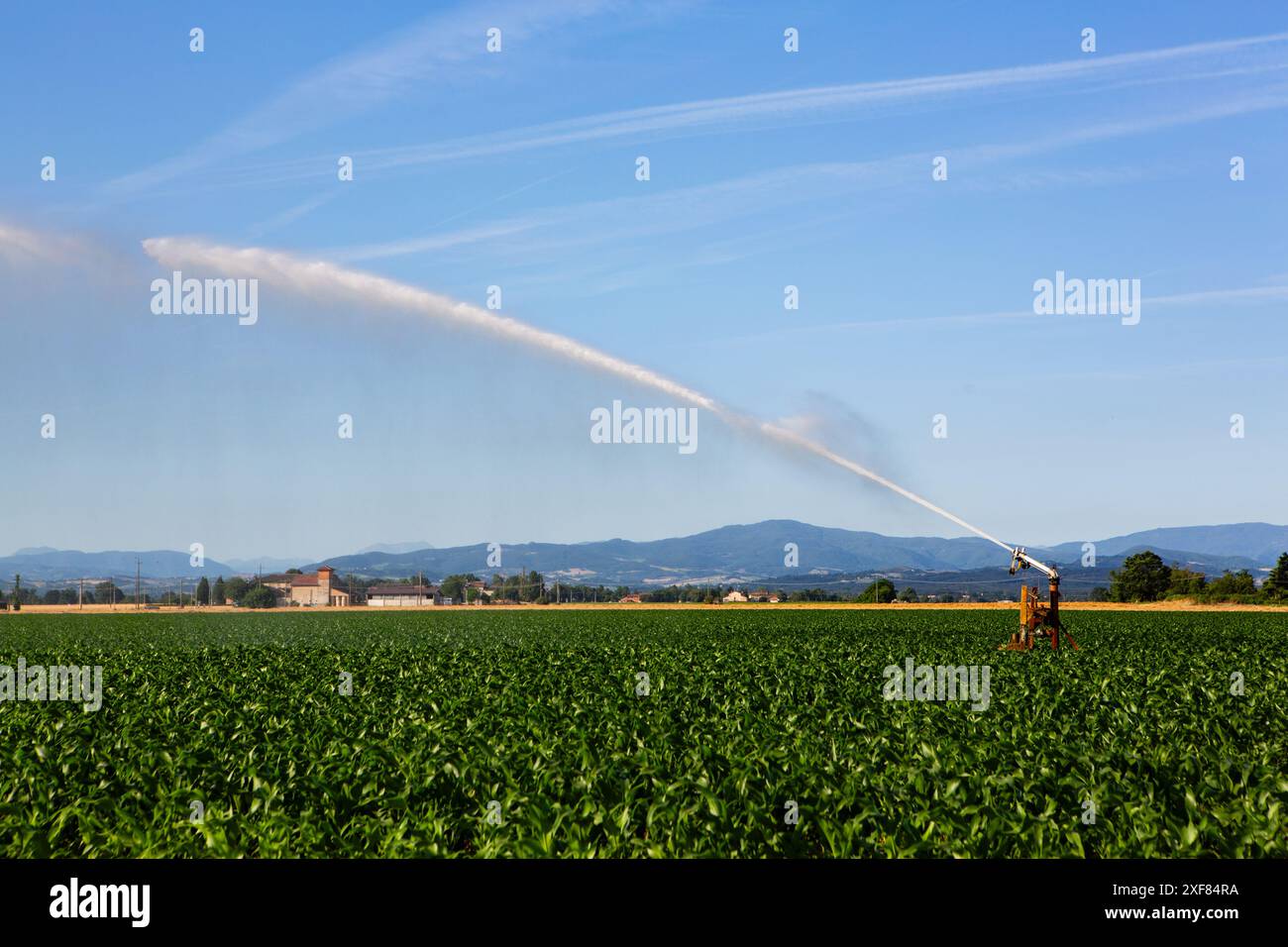 Sprinkler system irrigating farmland to mitigate effects of drought ...