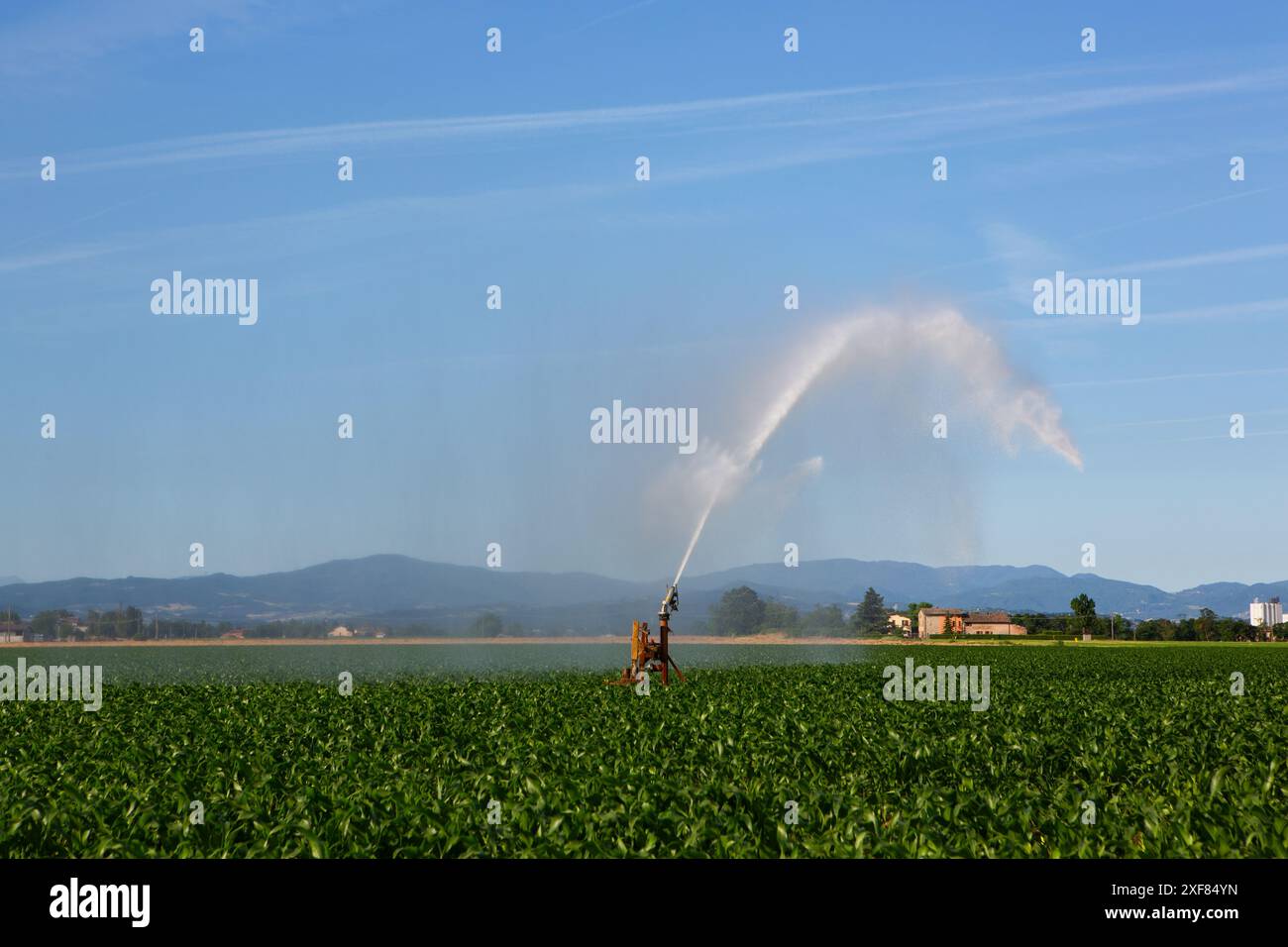 View of Sprinkler system irrigating farmland to mitigate effects of drought ...