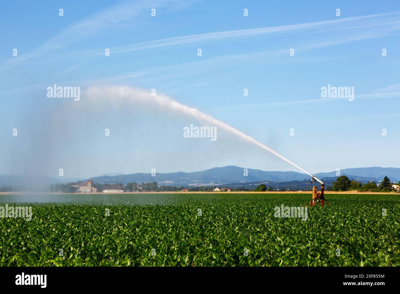 Image showcasing Sprinkler system irrigating farmland to mitigate effects of drought ...