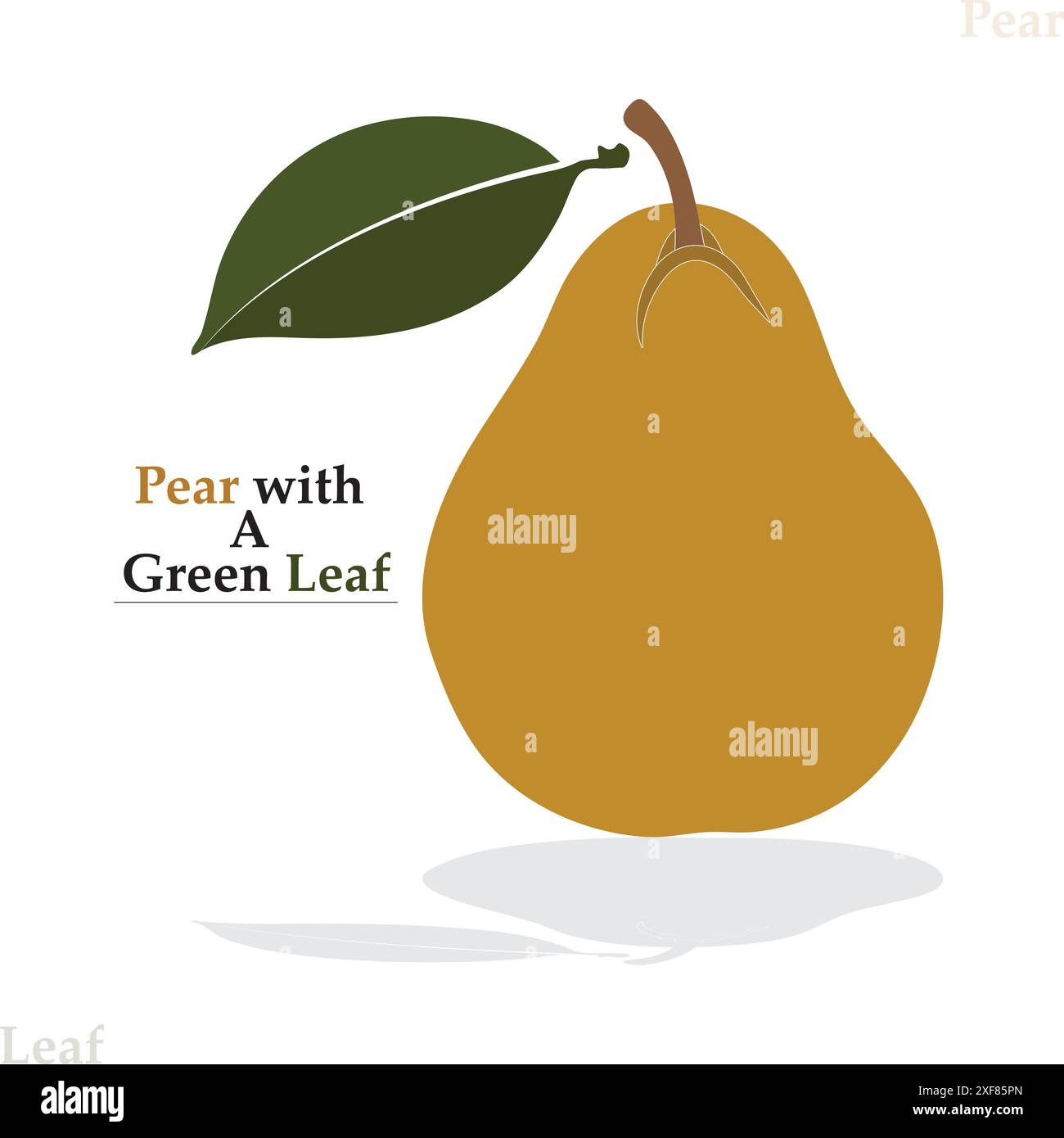 fruits,pear icon, fruits and leaf Stock Vector