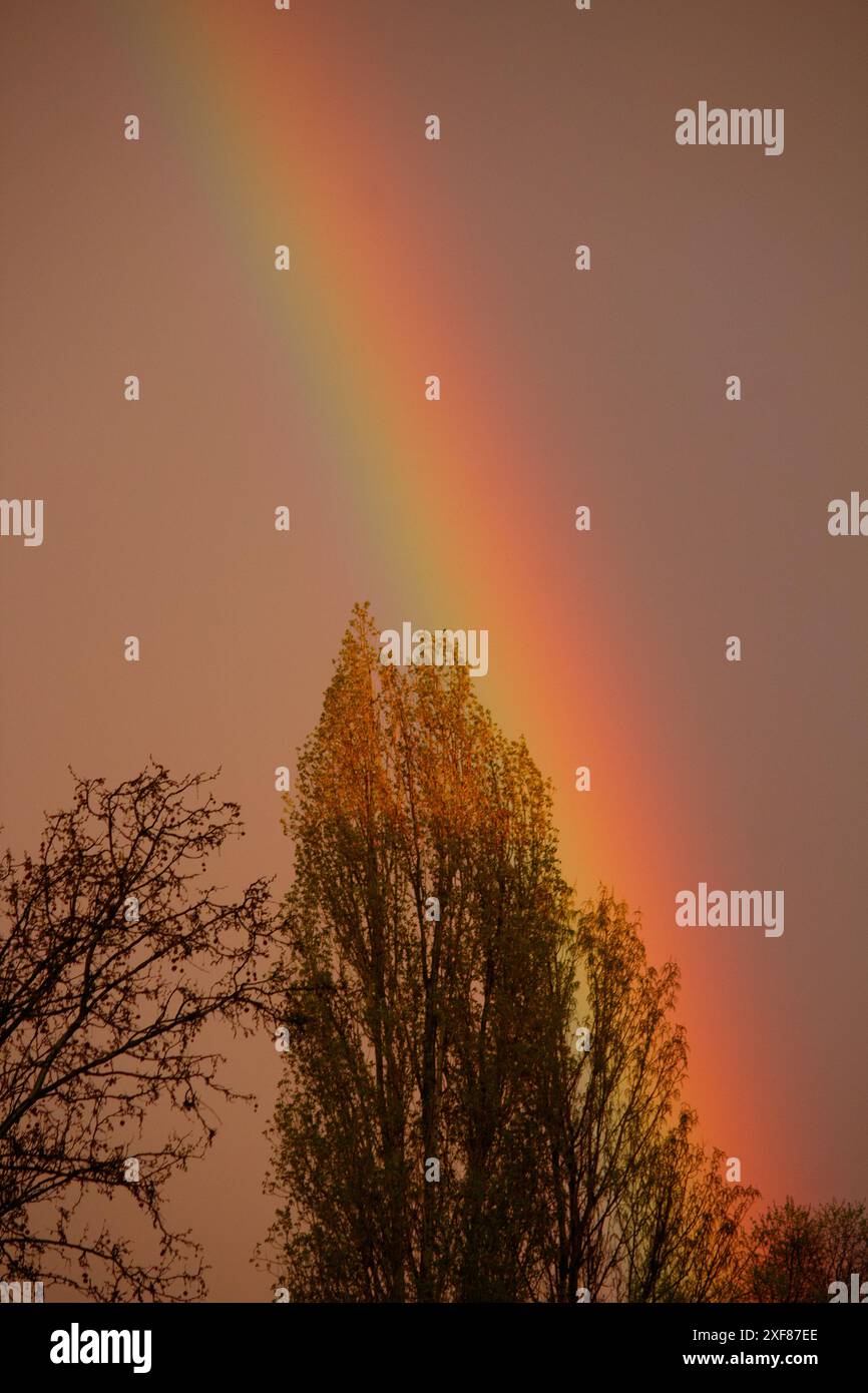 A rainbow after the storm Stock Photo - Alamy