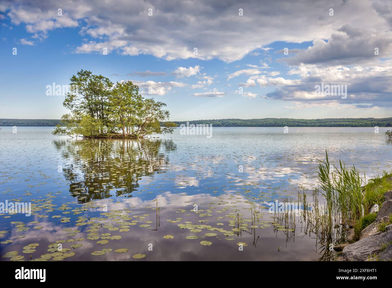 geography / travel, Sweden, Tree island in Maelar Lake in Sigtuna, Stockholms Iaen Province, ADDITIONAL-RIGHTS-CLEARANCE-INFO-NOT-AVAILABLE Stock Photo