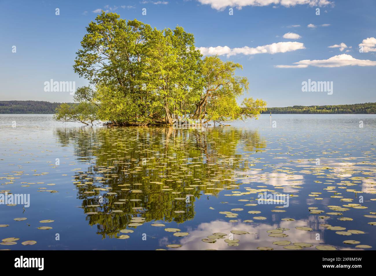geography / travel, Sweden, Tree island in Maelar Lake in Sigtuna, Stockholms Iaen Province, ADDITIONAL-RIGHTS-CLEARANCE-INFO-NOT-AVAILABLE Stock Photo