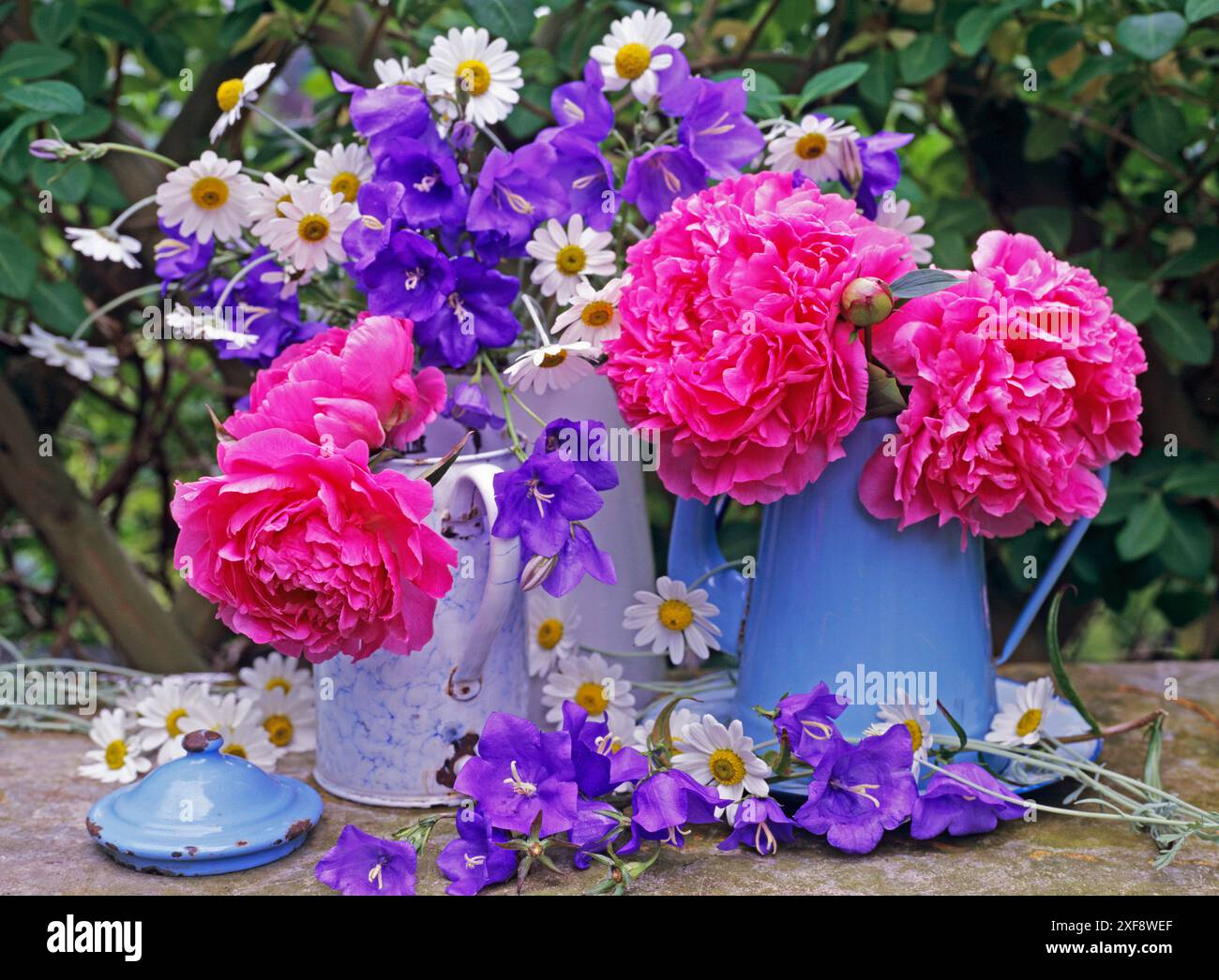 Additional table hi-res stock photography and images - Alamy