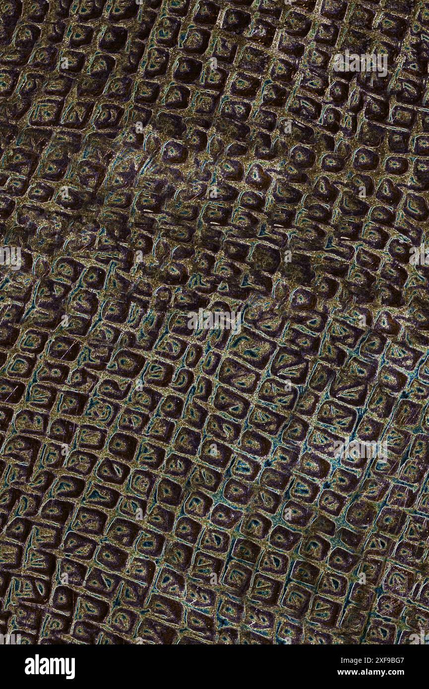 Dark abstract pattern with a textured, geometric design featuring intricate squares Stock Photo