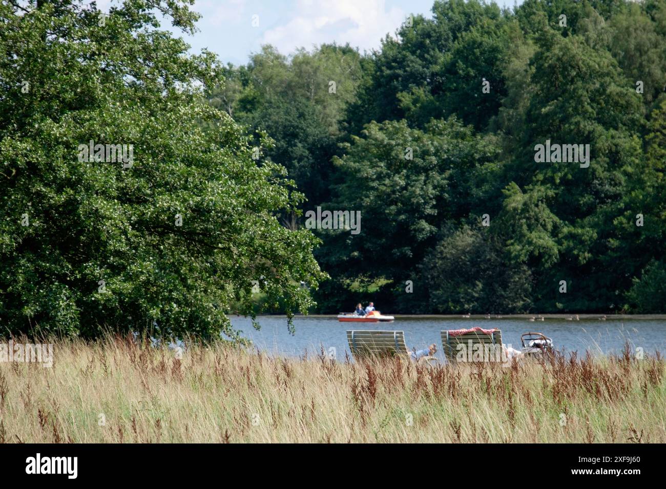 Foreground with high grass area, in the background boats and calm, forest-fringed lake, Borken, Westphalia, Germany Stock Photo